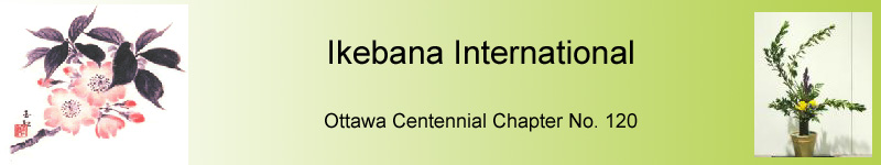 Ikebana International